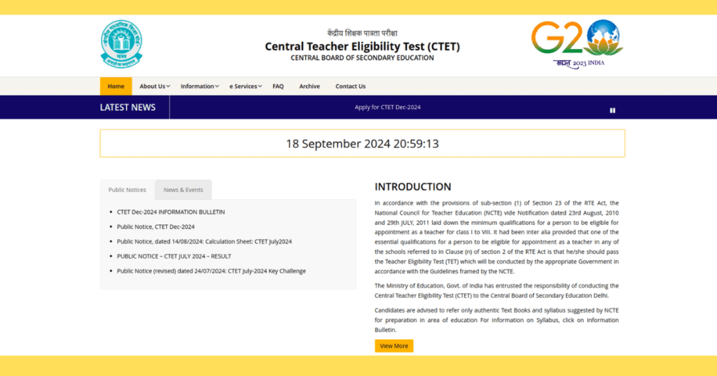 ctet 2024 exam  apply hindi